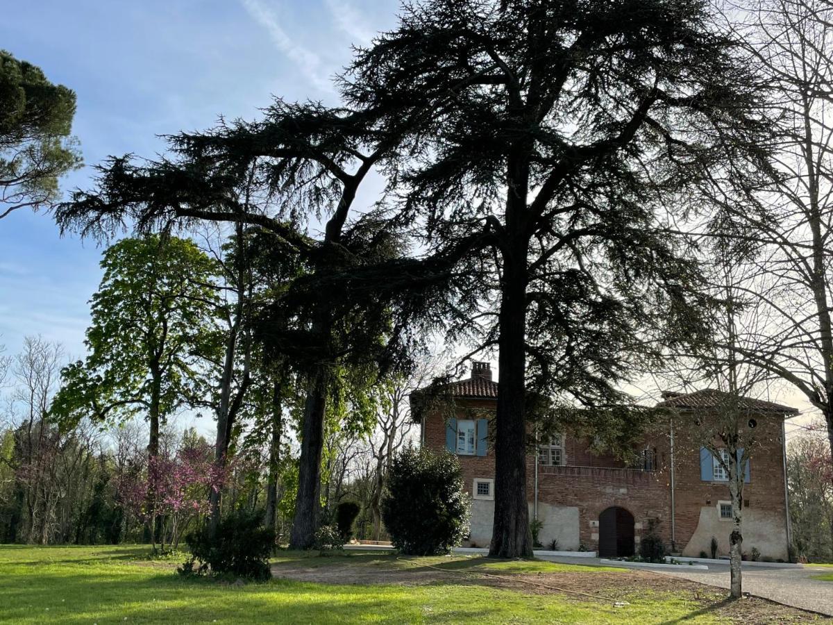 Chateau Du Go ألبي المظهر الخارجي الصورة